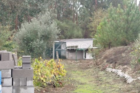 Farm i Mangualde, Viseu, Mangualde - € 178.500 | Ref: ZMPT582734 - foto 17