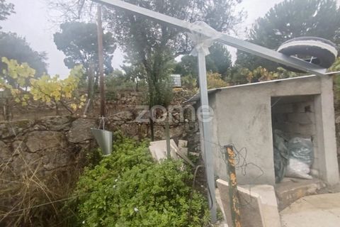 Farm i Mangualde, Viseu, Mangualde - € 178.500 | Ref: ZMPT582734 - foto 19