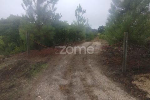 Farm i Mangualde, Viseu, Mangualde - € 178.500 | Ref: ZMPT582734 - foto 20