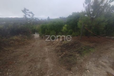 Farm i Mangualde, Viseu, Mangualde - € 178.500 | Ref: ZMPT582734 - foto 21