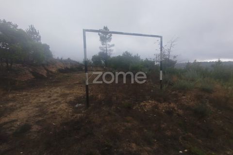 Farm i Mangualde, Viseu, Mangualde - € 178.500 | Ref: ZMPT582734 - foto 22