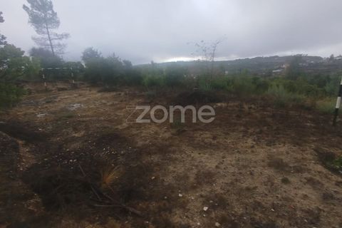 Farm i Mangualde, Viseu, Mangualde - € 178.500 | Ref: ZMPT582734 - foto 23