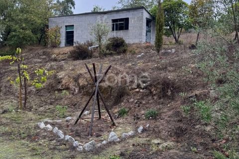 Farm i Mangualde, Viseu, Mangualde - € 178.500 | Ref: ZMPT582734 - foto 24