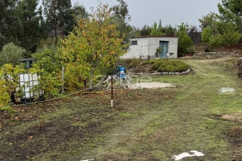 Farm i Mangualde, Viseu, Mangualde - € 178.500 | Ref: ZMPT582734 - foto 25