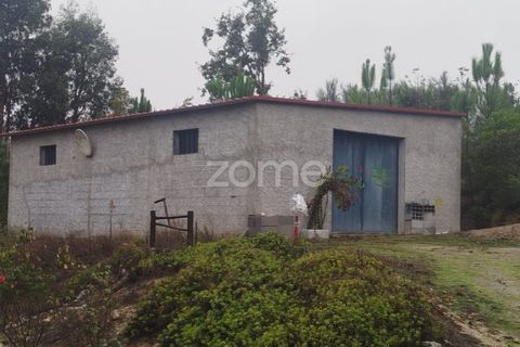 Farm i Mangualde, Viseu, Mangualde - € 178.500 | Ref: ZMPT582734 - foto 26