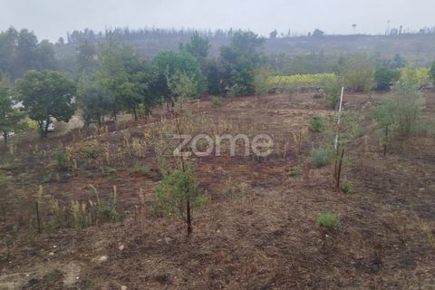 Farm i Mangualde, Viseu, Mangualde - € 178.500 | Ref: ZMPT582734 - foto 27