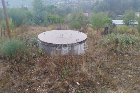 Farm i Mangualde, Viseu, Mangualde - € 178.500 | Ref: ZMPT582734 - foto 28