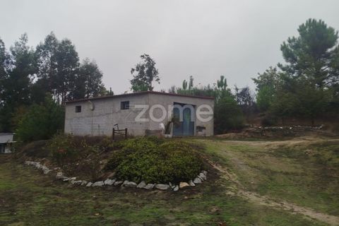 Farm i Mangualde, Viseu, Mangualde - € 178.500 | Ref: ZMPT582734 - foto 29