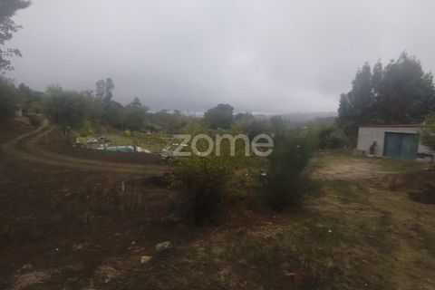 Farm i Mangualde, Viseu, Mangualde - € 178.500 | Ref: ZMPT582734 - foto 30