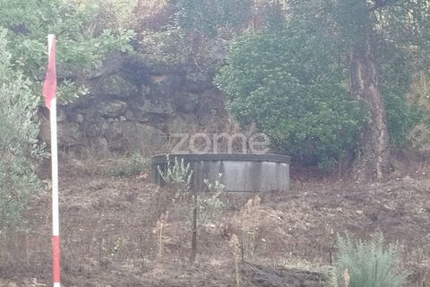 Farm i Mangualde, Viseu, Mangualde - € 178.500 | Ref: ZMPT582734 - foto 32