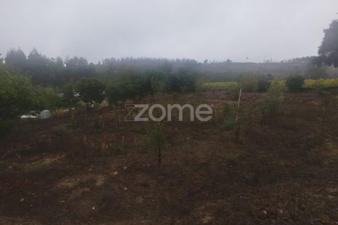 Farm i Mangualde, Viseu, Mangualde - € 178.500 | Ref: ZMPT582734 - foto 33