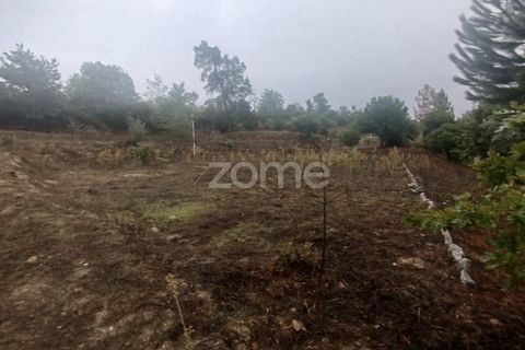 Farm i Mangualde, Viseu, Mangualde - € 178.500 | Ref: ZMPT582734 - foto 34