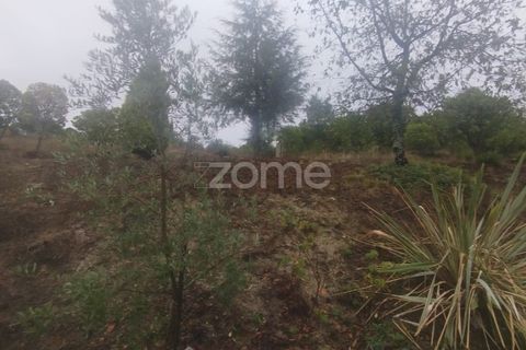 Farm i Mangualde, Viseu, Mangualde - € 178.500 | Ref: ZMPT582734 - foto 35