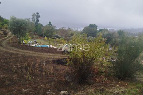 Farm i Mangualde, Viseu, Mangualde - € 178.500 | Ref: ZMPT582734 - foto 36