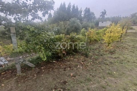Farm i Mangualde, Viseu, Mangualde - € 178.500 | Ref: ZMPT582734 - foto 37