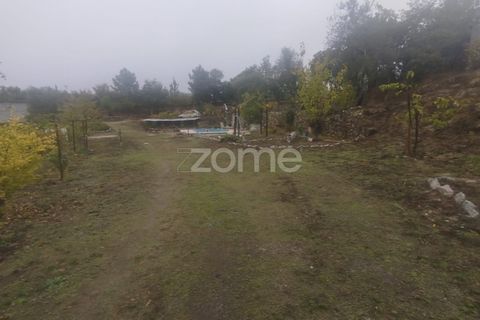Farm i Mangualde, Viseu, Mangualde - € 178.500 | Ref: ZMPT582734 - foto 38
