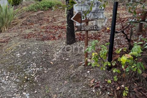 Farm i Mangualde, Viseu, Mangualde - € 178.500 | Ref: ZMPT582734 - foto 40
