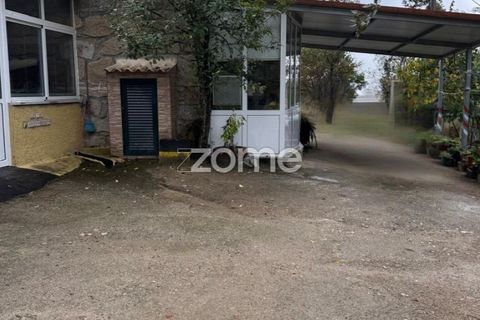 Farm i Mangualde, Viseu, Mangualde - € 178.500 | Ref: ZMPT582734 - foto 42
