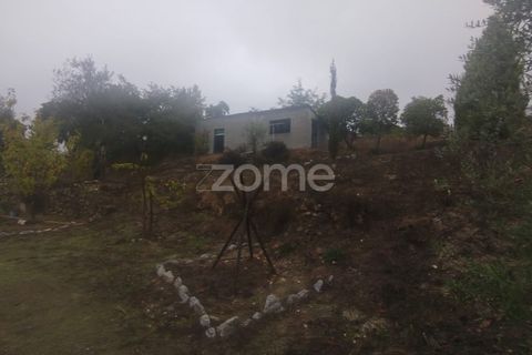 Farm i Mangualde, Viseu, Mangualde - € 178.500 | Ref: ZMPT582734 - foto 31