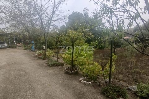 Farm i Mangualde, Viseu, Mangualde - € 178.500 | Ref: ZMPT582734 - foto 41