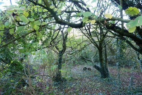 Landejendom i Quintin, Cotes-d'Armor, Quintin - € 190.000 | Ref: 830033352693 - foto 20