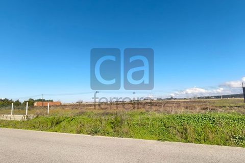 Terra a Alpiarca, Santarem, Alpiarca - € 87.500 | Ref: TERR4449 - foto 2