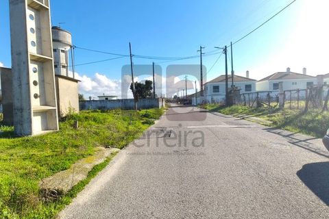 Terra a Alpiarca, Santarem, Alpiarca - € 87.500 | Ref: TERR4449 - foto 3