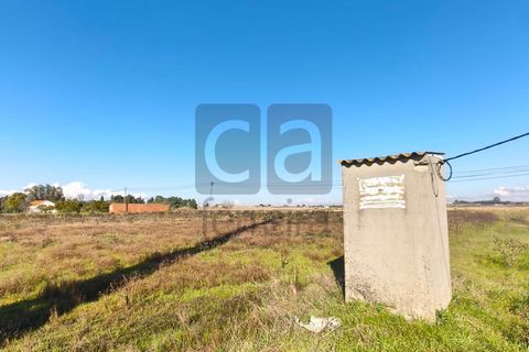 Terra a Alpiarca, Santarem, Alpiarca - € 87.500 | Ref: TERR4449 - foto 4