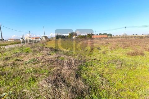 Terra a Alpiarca, Santarem, Alpiarca - € 87.500 | Ref: TERR4449 - foto 5