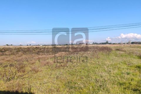 Terra a Alpiarca, Santarem, Alpiarca - € 87.500 | Ref: TERR4449 - foto 6