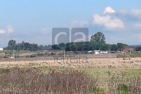 Terra a Alpiarca, Santarem, Alpiarca - € 87.500 | Ref: TERR4449 - foto 7