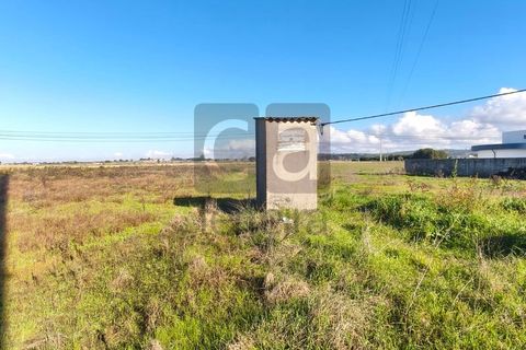 Terra a Alpiarca, Santarem, Alpiarca - € 87.500 | Ref: TERR4449 - foto 8