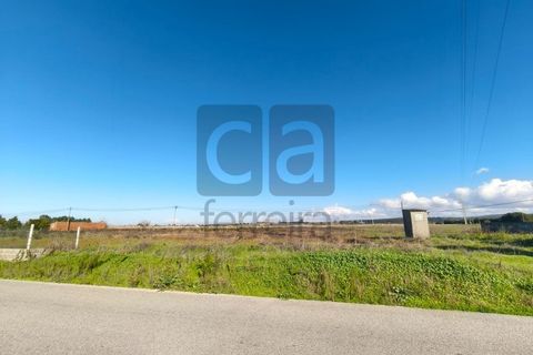 Terra a Alpiarca, Santarem, Alpiarca - € 87.500 | Ref: TERR4449 - foto 9