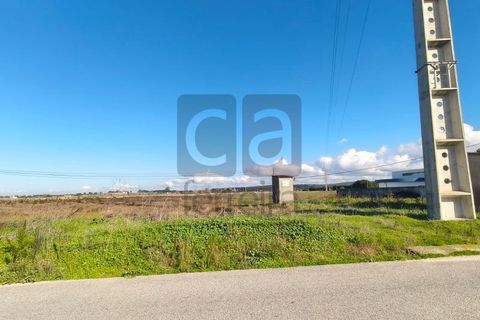 Terra a Alpiarca, Santarem, Alpiarca - € 87.500 | Ref: TERR4449 - foto 10