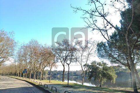 Terra a Alpiarca, Santarem, Alpiarca - € 87.500 | Ref: TERR4449 - foto 11