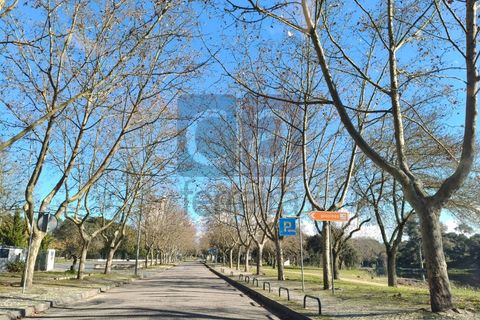 Terra a Alpiarca, Santarem, Alpiarca - € 87.500 | Ref: TERR4449 - foto 12