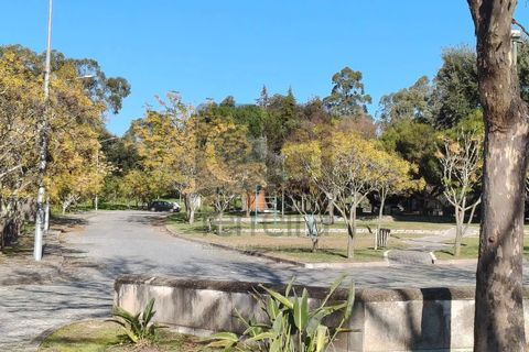 Terra a Alpiarca, Santarem, Alpiarca - € 87.500 | Ref: TERR4449 - foto 13