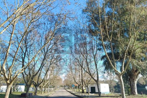 Terra a Alpiarca, Santarem, Alpiarca - € 87.500 | Ref: TERR4449 - foto 14