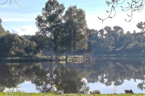 Terra a Alpiarca, Santarem, Alpiarca - € 87.500 | Ref: TERR4449 - foto 16