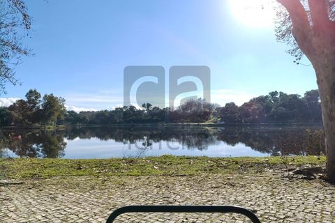 Terra a Alpiarca, Santarem, Alpiarca - € 87.500 | Ref: TERR4449 - foto 17