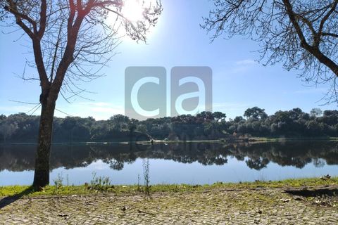 Terra a Alpiarca, Santarem, Alpiarca - € 87.500 | Ref: TERR4449 - foto 19