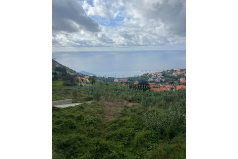 Helårsgrund i Arco da Calheta, Madeira, Arco da Calheta - € 1.200.000 | Ref: TER-00269-Calheta - foto 1