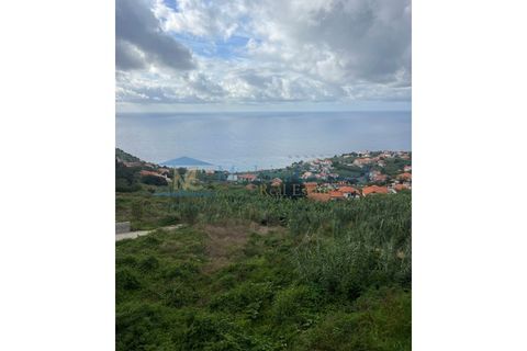 Helårsgrund i Arco da Calheta, Madeira, Arco da Calheta - € 1.200.000 | Ref: TER-00269-Calheta - foto 2