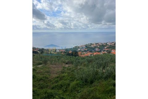 Helårsgrund i Arco da Calheta, Madeira, Arco da Calheta - € 1.200.000 | Ref: TER-00269-Calheta - foto 3