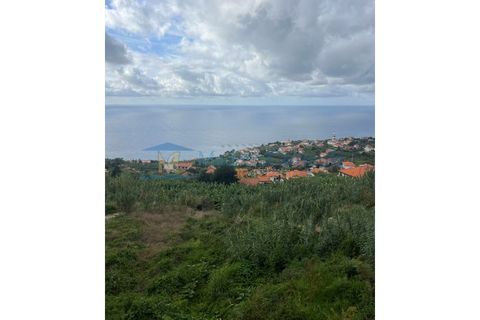 Helårsgrund i Arco da Calheta, Madeira, Arco da Calheta - € 1.200.000 | Ref: TER-00269-Calheta - foto 4