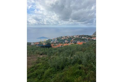 Helårsgrund i Arco da Calheta, Madeira, Arco da Calheta - € 1.200.000 | Ref: TER-00269-Calheta - foto 5