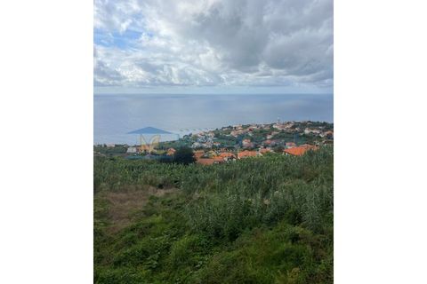 Helårsgrund i Arco da Calheta, Madeira, Arco da Calheta - € 1.200.000 | Ref: TER-00269-Calheta - foto 6