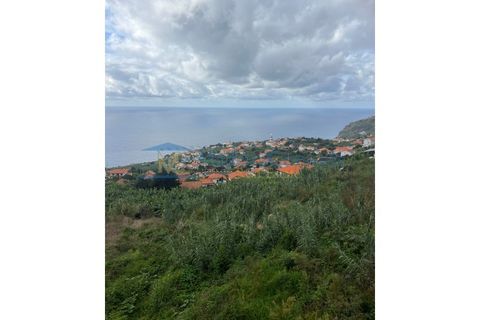 Helårsgrund i Arco da Calheta, Madeira, Arco da Calheta - € 1.200.000 | Ref: TER-00269-Calheta - foto 7