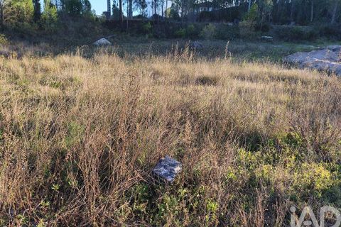 Terra a Ansiao, Leiria, Ansiao - € 42.500 | Ref: 772124 - foto 2
