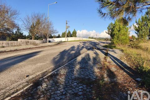 Terra a Ansiao, Leiria, Ansiao - € 42.500 | Ref: 772124 - foto 3